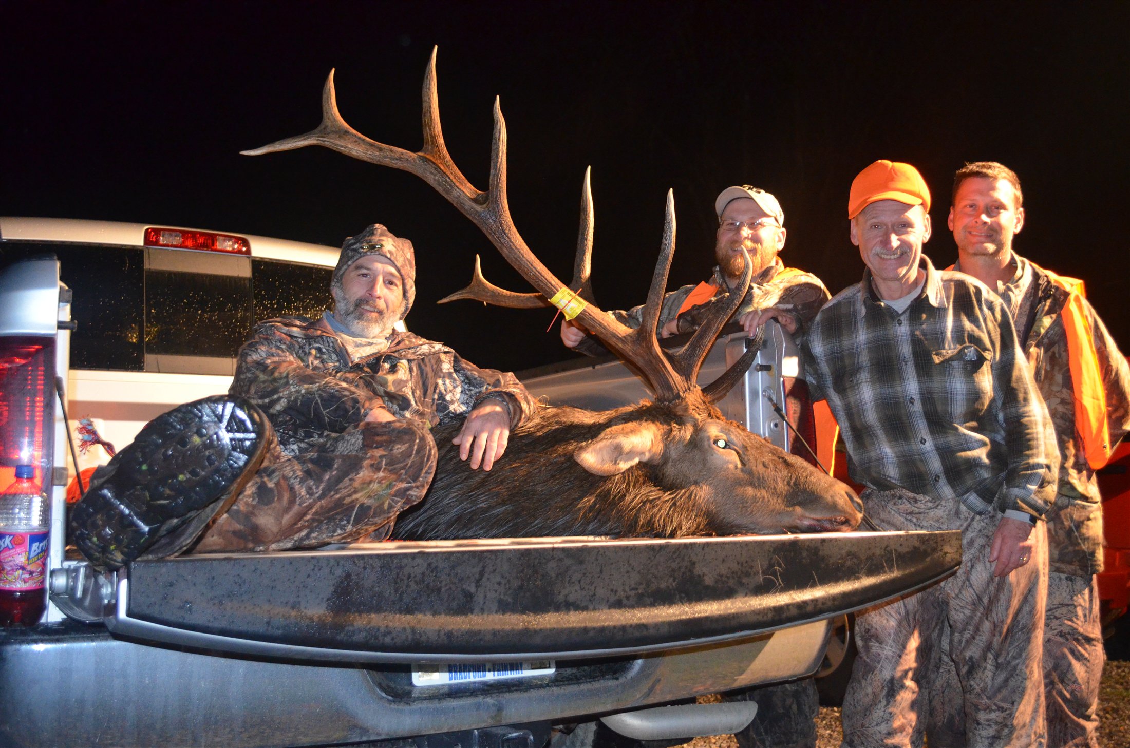 Elk / Wapiti trophy photograph