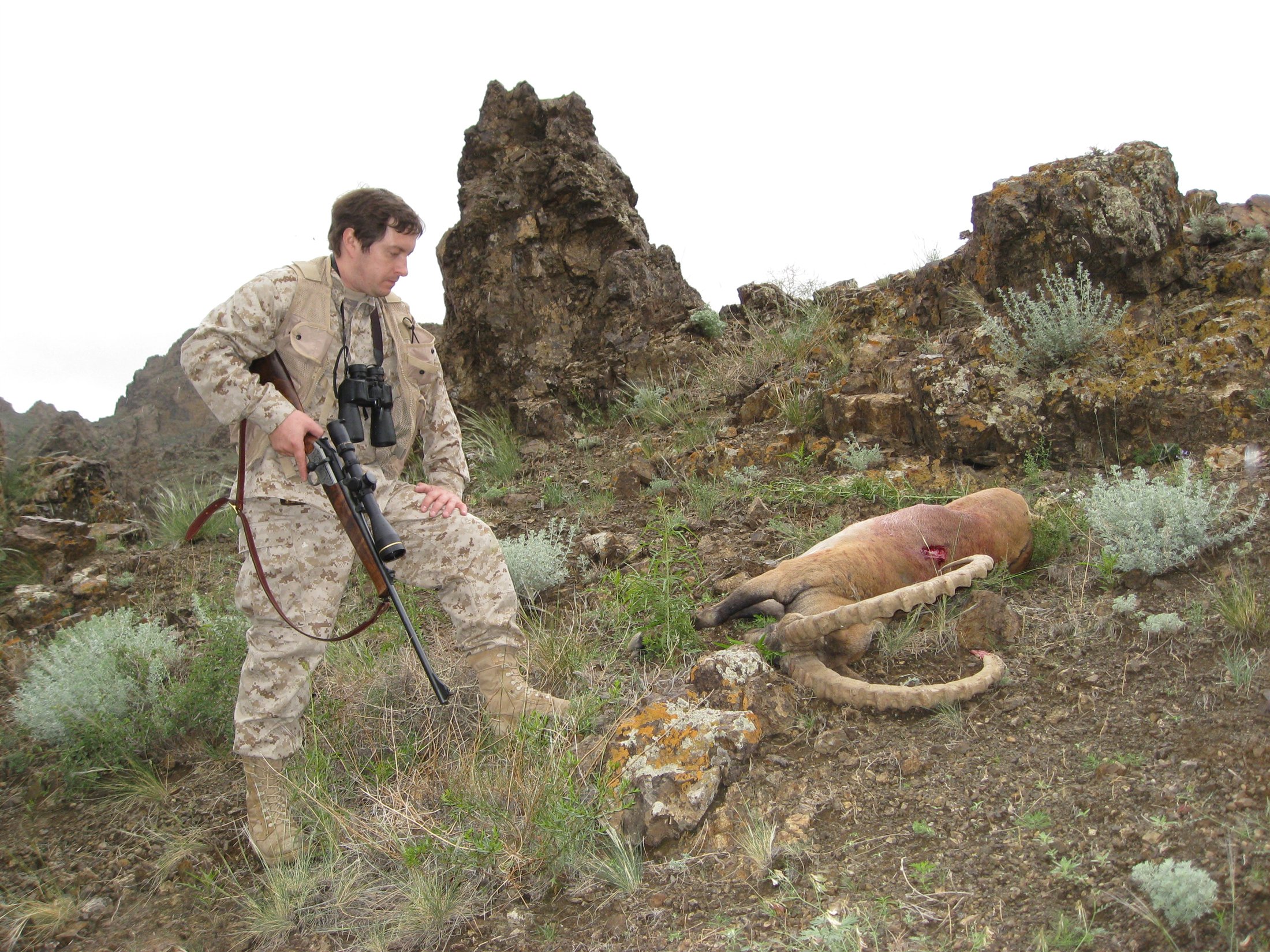 Siberian Ibex trophy photograph